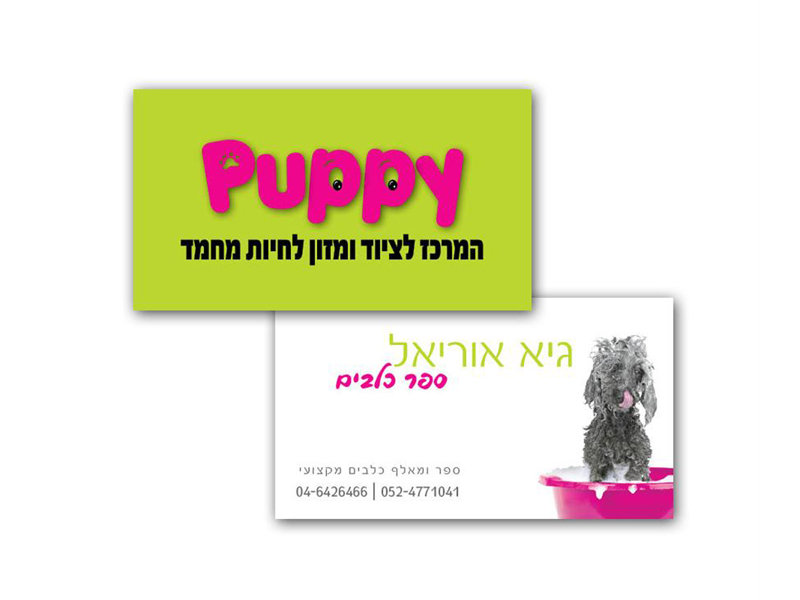 גיא - כרטיס ביקור