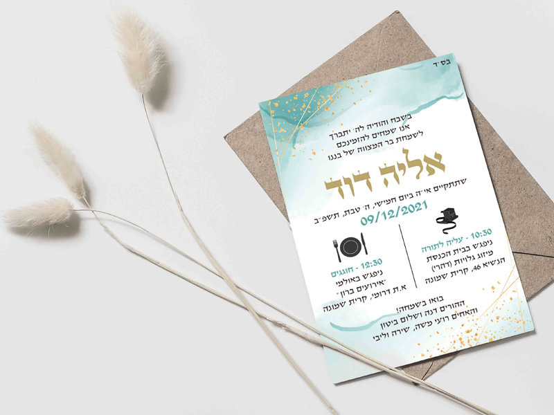 אליה דוד