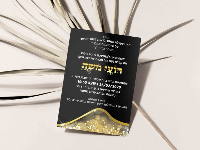 בר מצווה - רועי משה