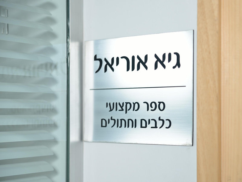 שילוט שם