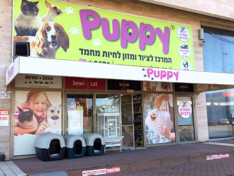 מיתוג חנות חיות - עפולה