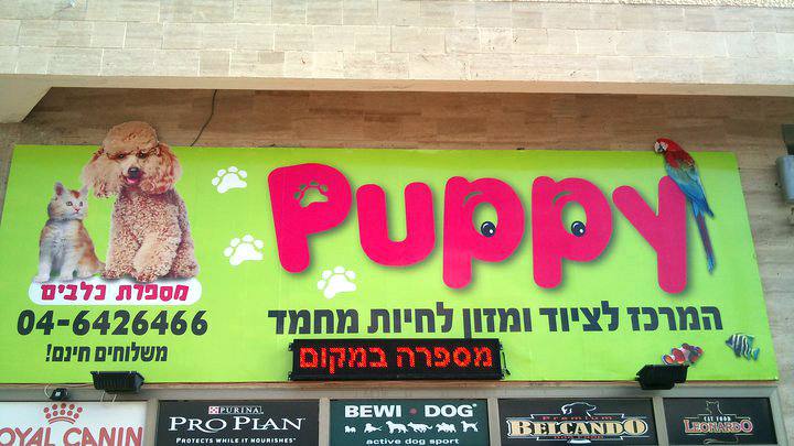 Puppy Shop
